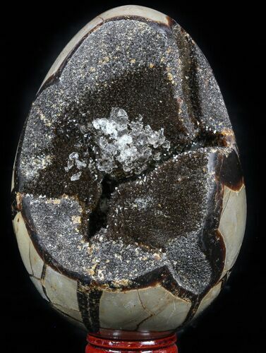 Septarian Dragon Egg Geode - Black Crystals #57346